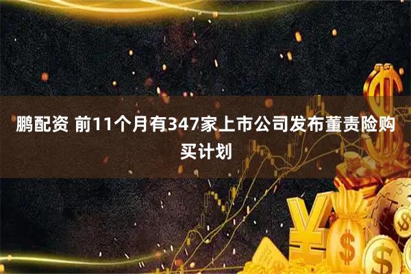鹏配资 前11个月有347家上市公司发布董责险购买计划