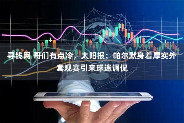 寻钱网 哥们有点冷，太阳报：帕尔默身着厚实外套观赛引来球迷调侃