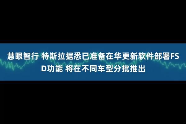 慧眼智行 特斯拉据悉已准备在华更新软件部署FSD功能 将在不同车型分批推出