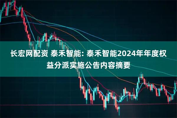 长宏网配资 泰禾智能: 泰禾智能2024年年度权益分派实施公告内容摘要