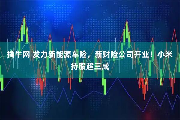 擒牛网 发力新能源车险，新财险公司开业！小米持股超三成
